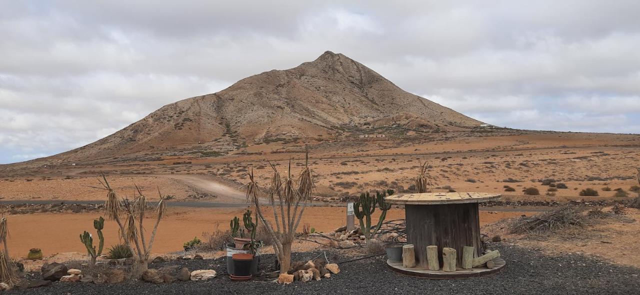 Dos Gatos Fuertaventura Villa Caleta De Fuste Ngoại thất bức ảnh